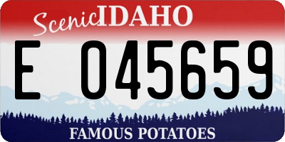 ID license plate E045659