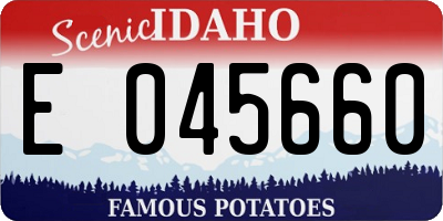 ID license plate E045660