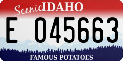 ID license plate E045663