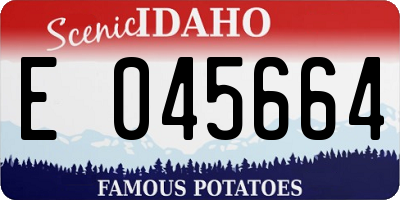 ID license plate E045664