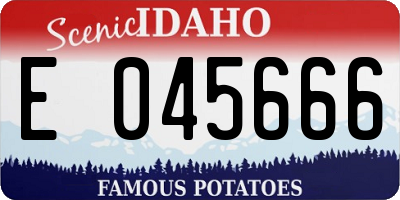 ID license plate E045666