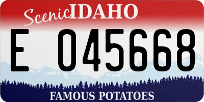 ID license plate E045668