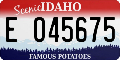 ID license plate E045675