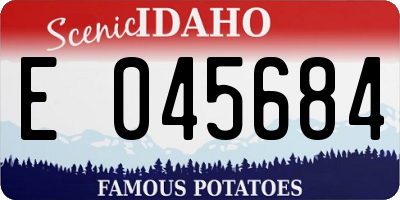 ID license plate E045684