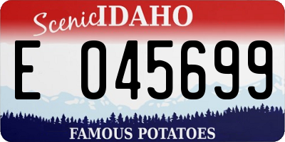 ID license plate E045699
