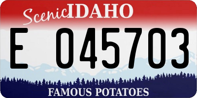 ID license plate E045703