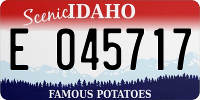 ID license plate E045717