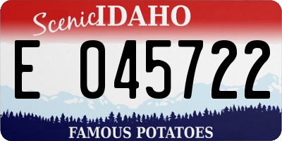 ID license plate E045722