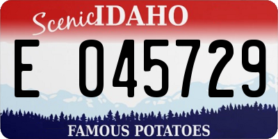 ID license plate E045729