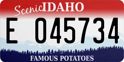 ID license plate E045734