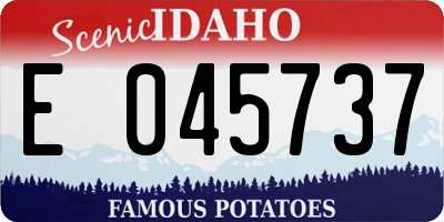 ID license plate E045737