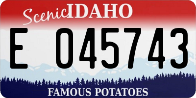 ID license plate E045743