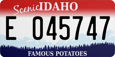 ID license plate E045747