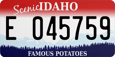 ID license plate E045759