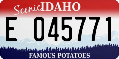 ID license plate E045771