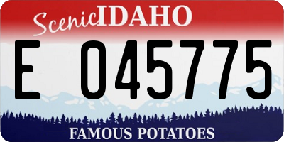 ID license plate E045775