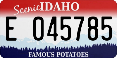 ID license plate E045785