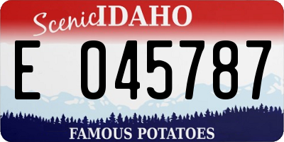 ID license plate E045787