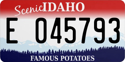 ID license plate E045793