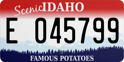 ID license plate E045799