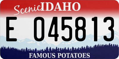 ID license plate E045813