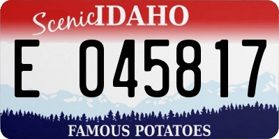 ID license plate E045817