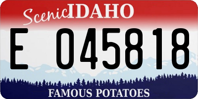 ID license plate E045818