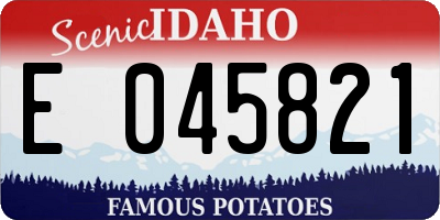 ID license plate E045821