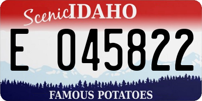 ID license plate E045822