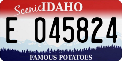 ID license plate E045824