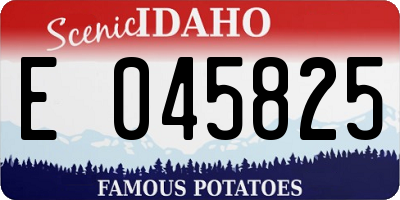 ID license plate E045825