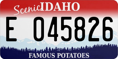 ID license plate E045826