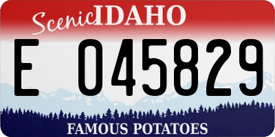 ID license plate E045829