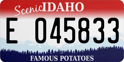 ID license plate E045833