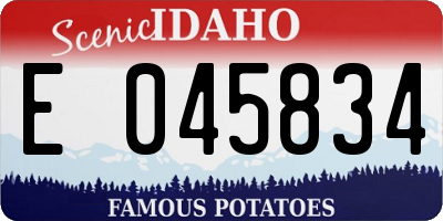 ID license plate E045834