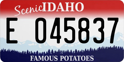 ID license plate E045837