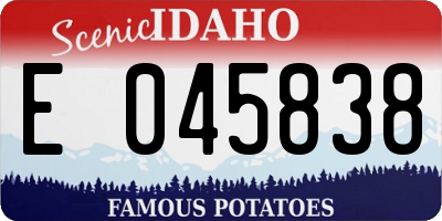 ID license plate E045838