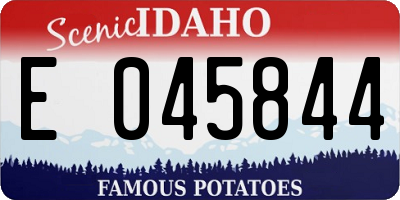ID license plate E045844