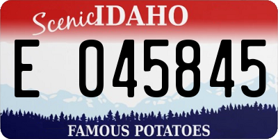 ID license plate E045845