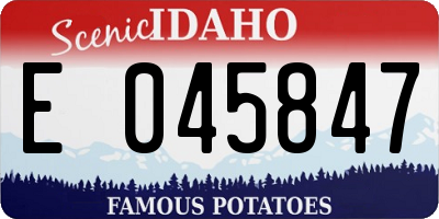 ID license plate E045847