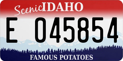 ID license plate E045854