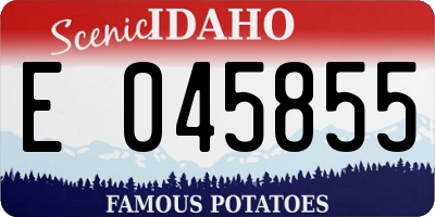 ID license plate E045855