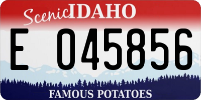 ID license plate E045856