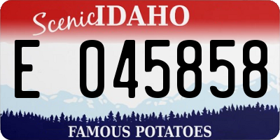 ID license plate E045858