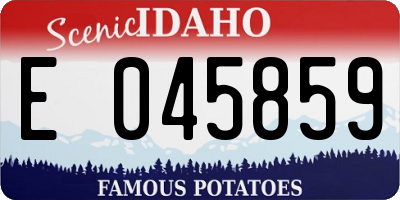 ID license plate E045859