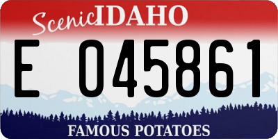 ID license plate E045861