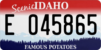 ID license plate E045865