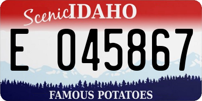 ID license plate E045867