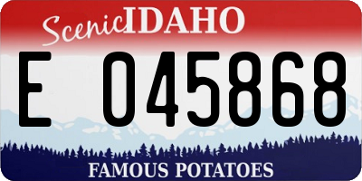 ID license plate E045868