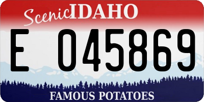 ID license plate E045869